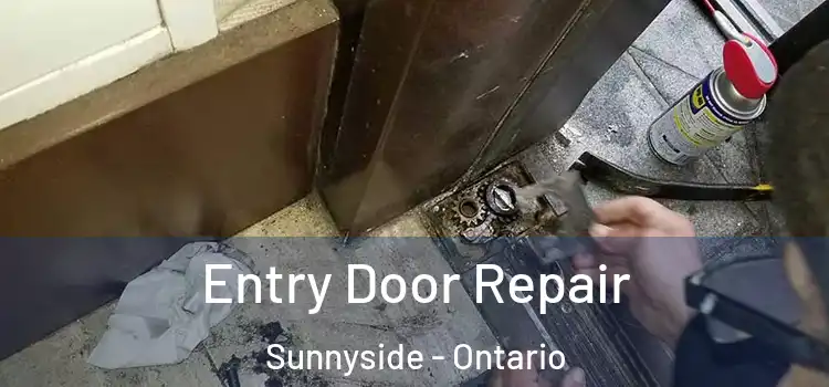 Entry Door Repair Sunnyside - Ontario