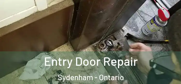 Entry Door Repair Sydenham - Ontario