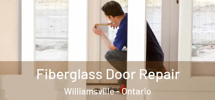 Fiberglass Door Repair Williamsville - Ontario