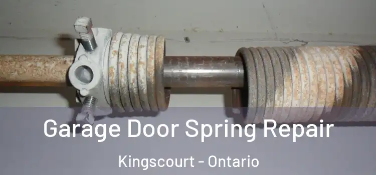 Garage Door Spring Repair Kingscourt - Ontario