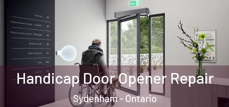 Handicap Door Opener Repair Sydenham - Ontario