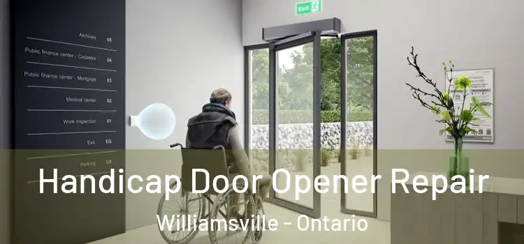 Handicap Door Opener Repair Williamsville - Ontario
