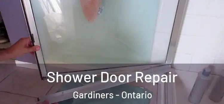 Shower Door Repair Gardiners - Ontario