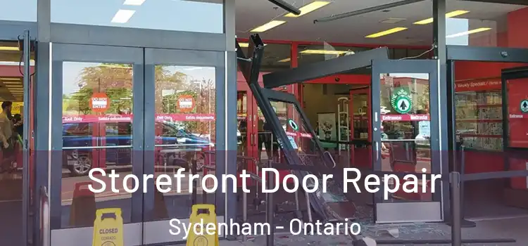 Storefront Door Repair Sydenham - Ontario