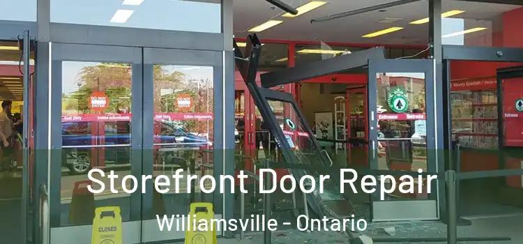 Storefront Door Repair Williamsville - Ontario
