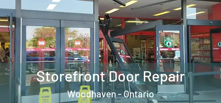 Storefront Door Repair Woodhaven - Ontario